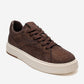 BERINA - Brown Embellished Sneaker (Women)