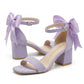 Rochelle Lilac Suede Ankle Strap Block Heel Sandal